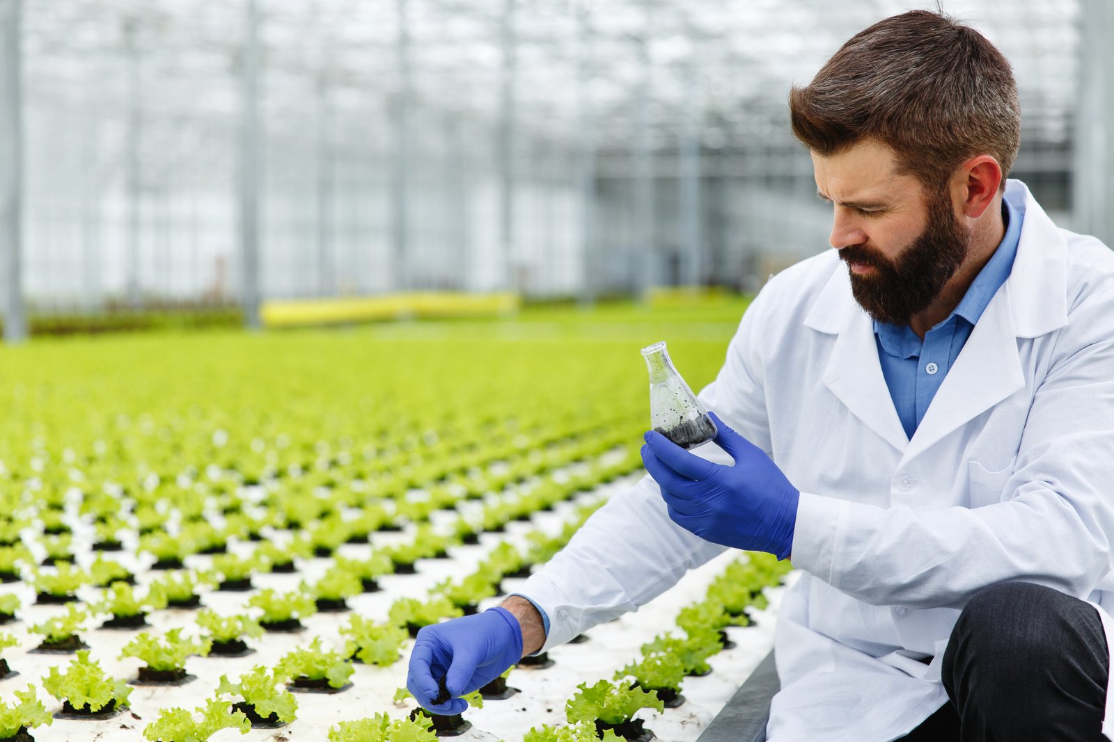 Fertilizers, Crop Protection & Soil Health
